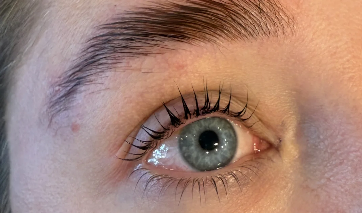 Single open eye with groomed brow and separated lashes in macro